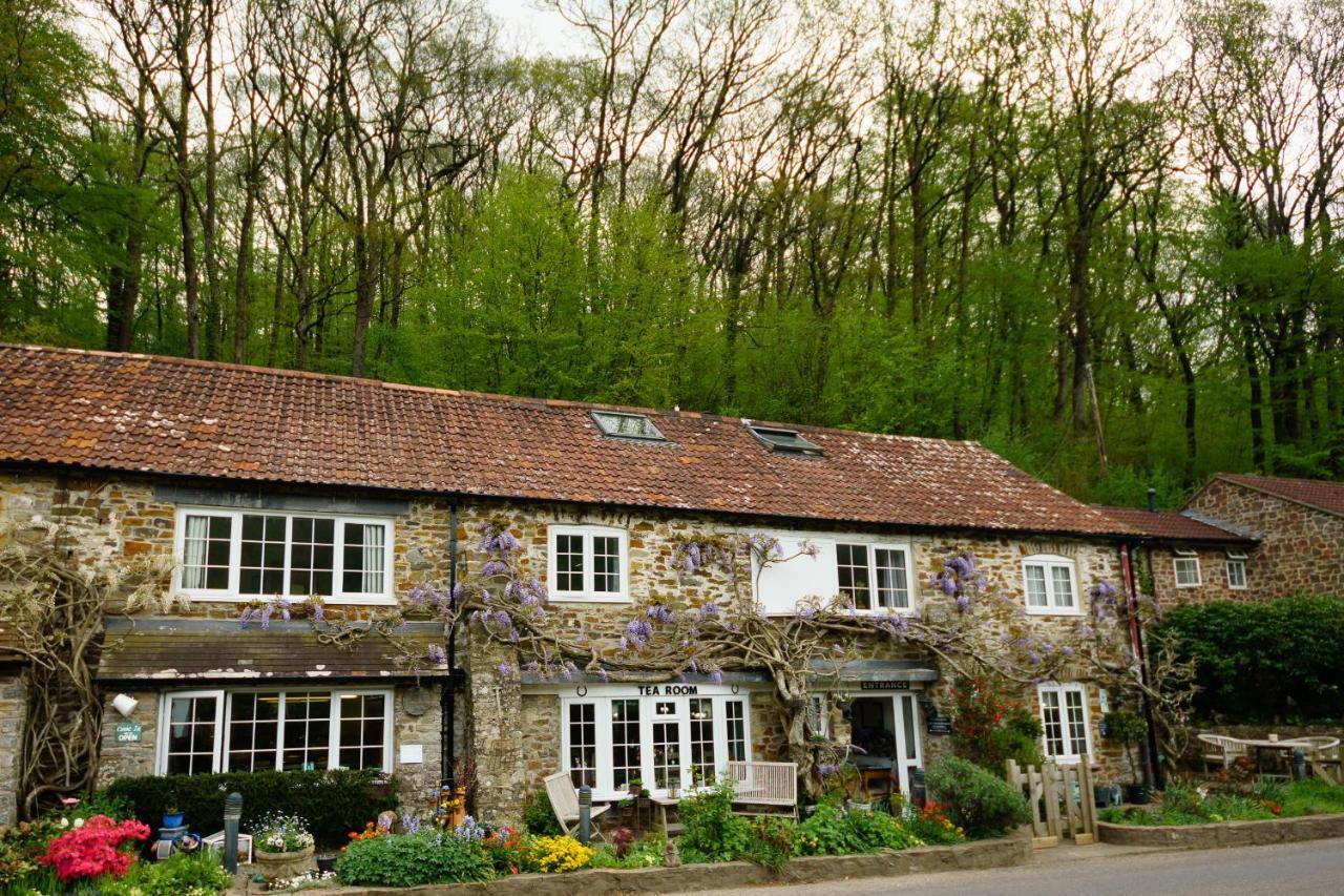 The Bark House Bed & Breakfast Oakford Exterior photo